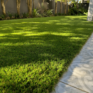 Sunlit lush green grass beside a stone pathway.