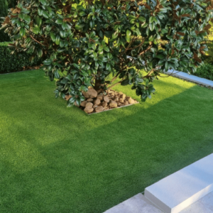 A small tree surrounded by neatly trimmed grass in a modern garden.
