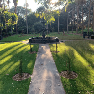 A sunlit garden path leading to a central fountain surrounded by palm trees.